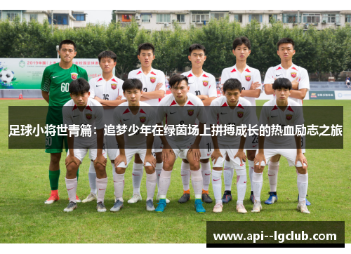 足球小将世青篇:追梦少年在绿茵场上拼搏成长的热血励志之旅 足球小将世青篇:追梦少年在绿茵场上拼搏成长的热血励志之旅